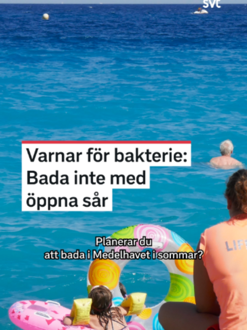Miniatyrbild för SVT-klippet Köttätande bakterie