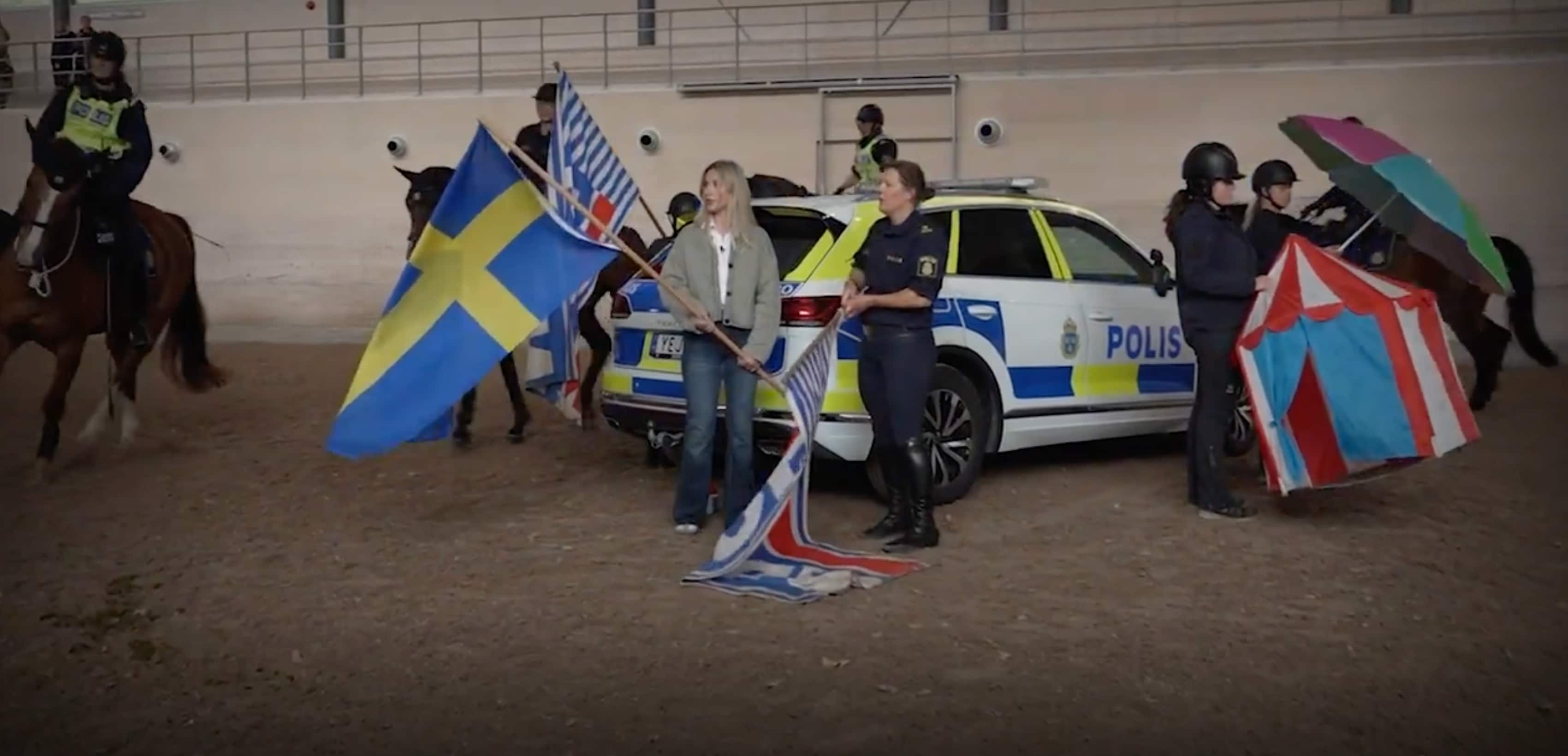 Miniatyrbild för Jernspets gästar högvakten